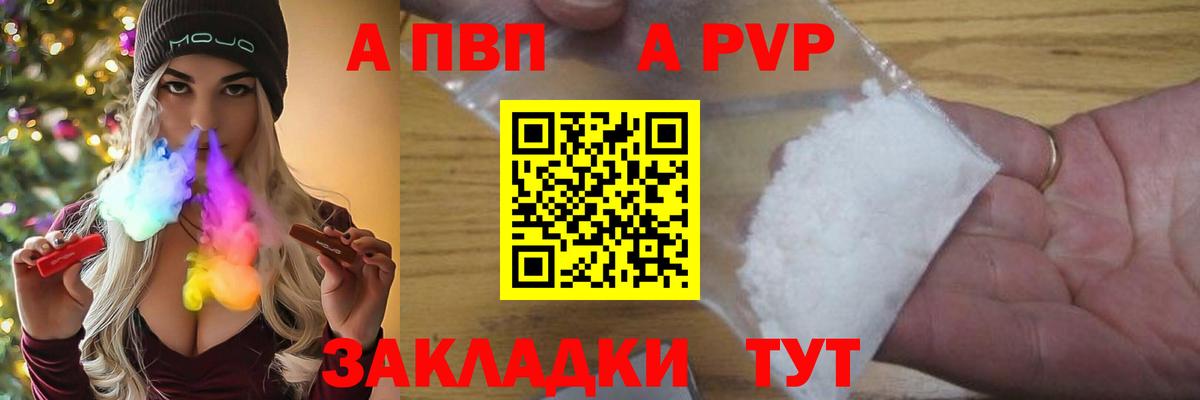 Альфа ПВП СК Канаш