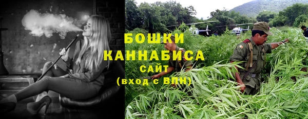 прущие крисы Коряжма