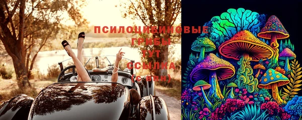 скорость Корсаков