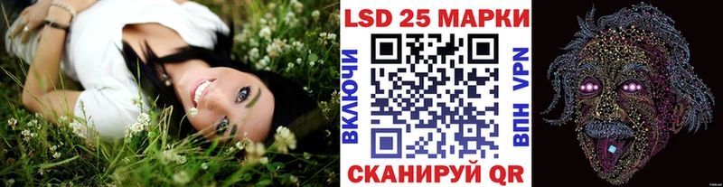 shop телеграм  Канаш  Марки 25I-NBOMe 1,8мг 