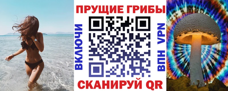 Псилоцибиновые грибы Cubensis  OMG ТОР  Канаш 