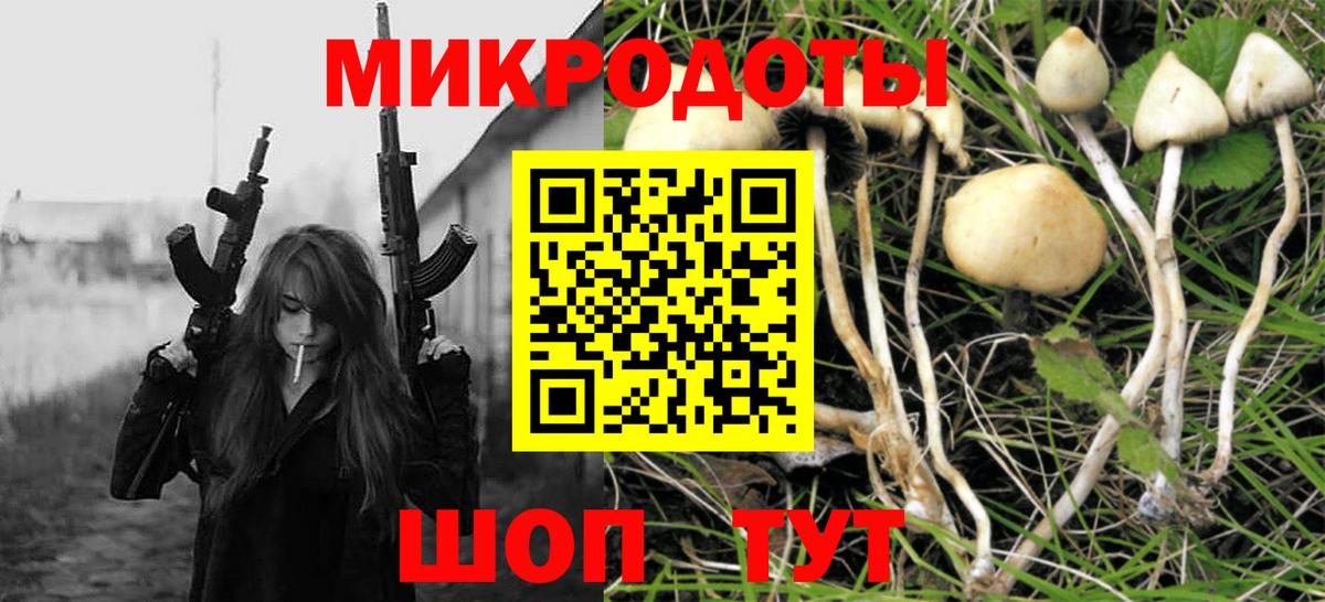 Псилоцибиновые грибы прущие грибы  Псилоцибиновые грибы MAGIC MUSHROOMS  Канаш  Вход с VPN 